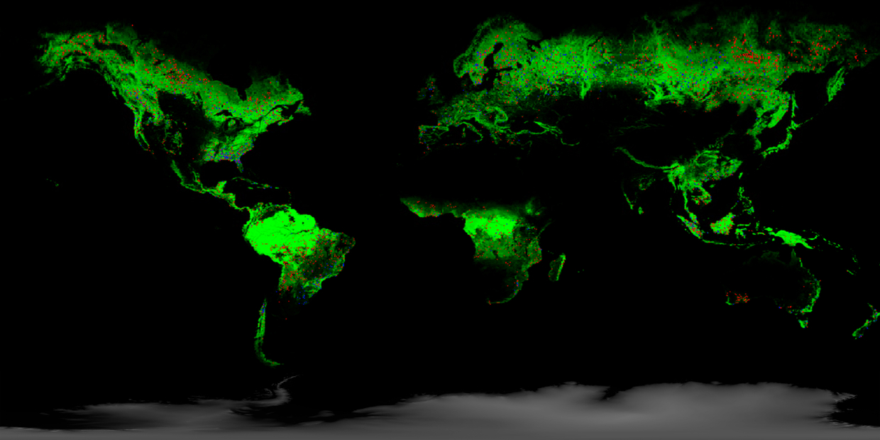 Map of the globe showing areas covered by forest in green